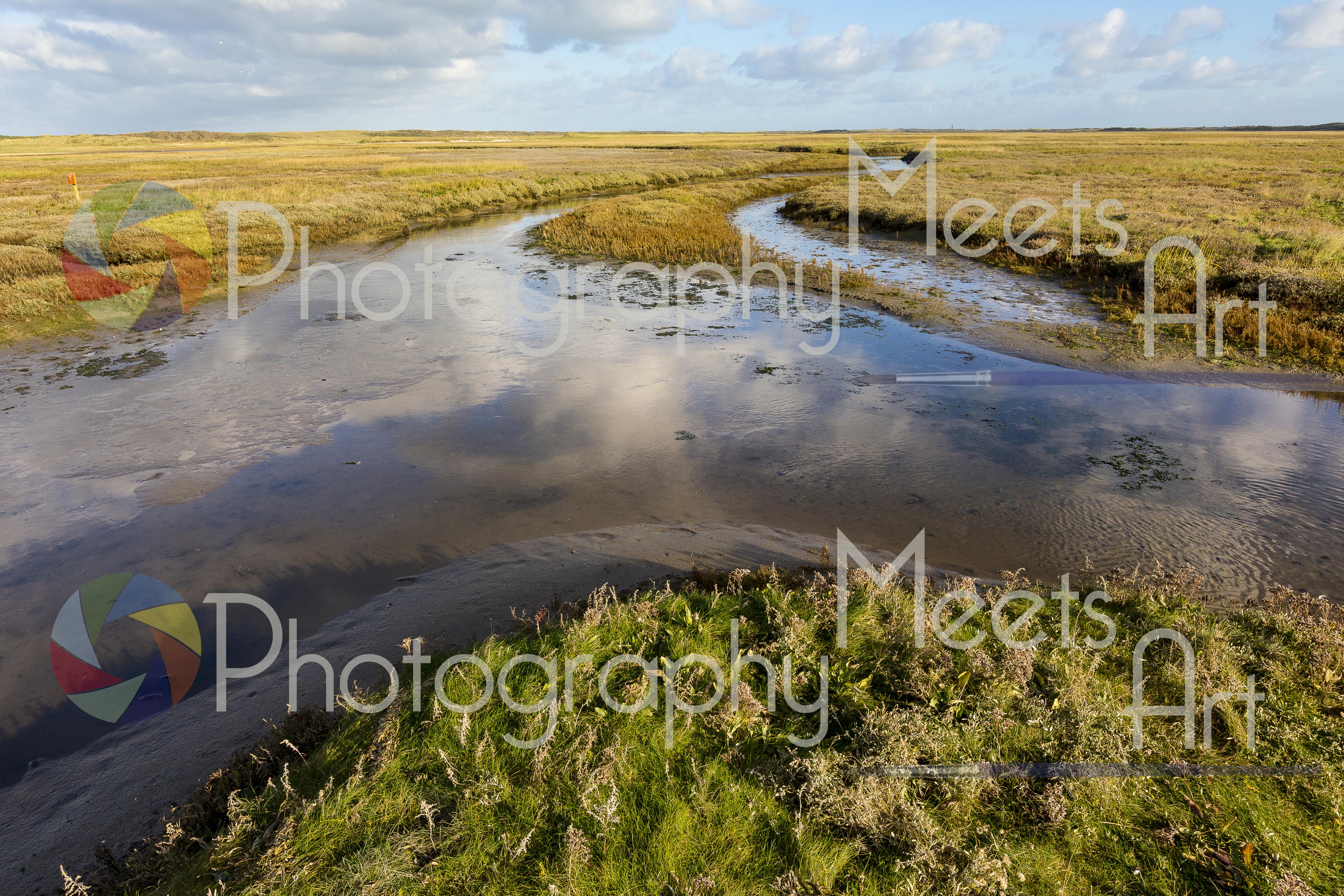 Texel